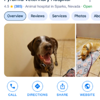 What Do Veterinarians Do? Surgery on a Rockfish Vet Set Go