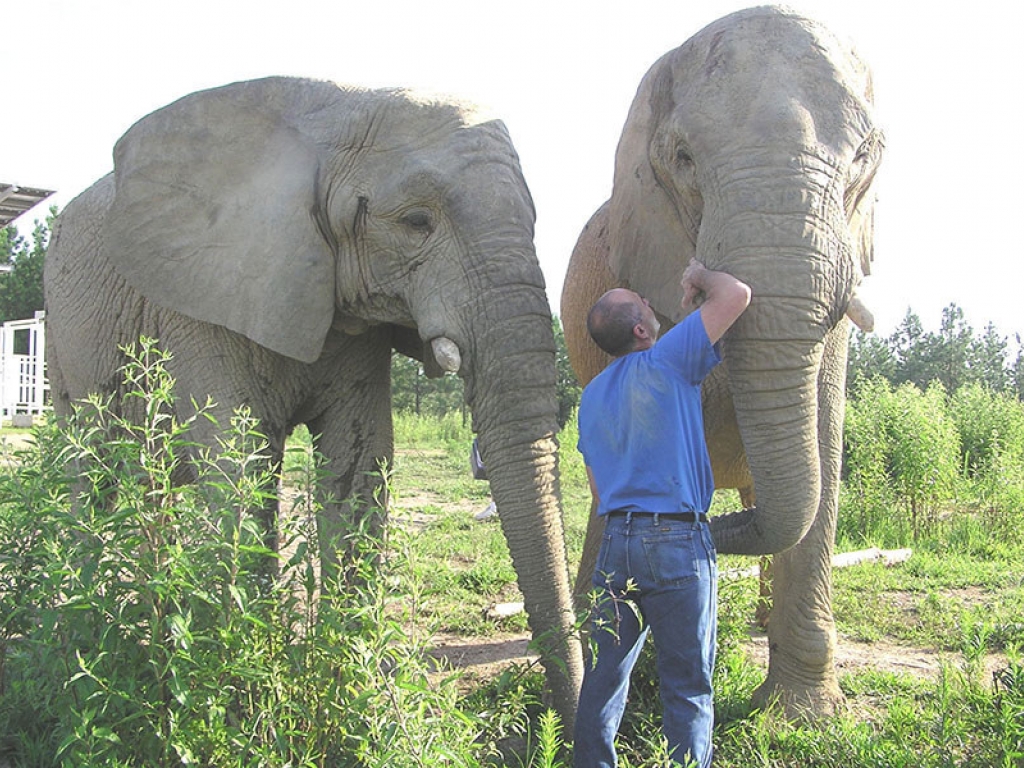 veterinarian-elephant-exam-gallery-web